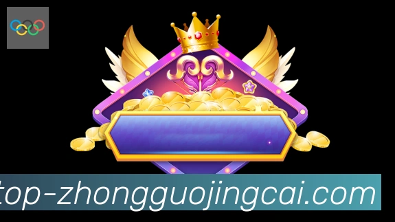 中国竞彩网荣誉